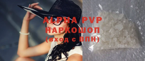 СК Козельск