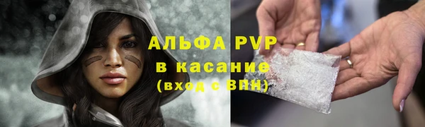 спиды Козловка