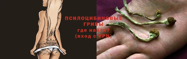 спиды Козловка