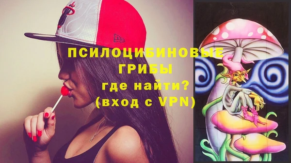 спиды Козловка