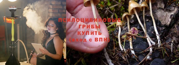 спиды Козловка
