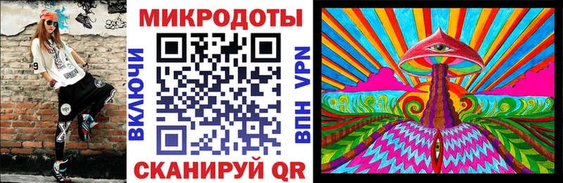 Купить Куса Псилоцибиновые грибы Psilocybe