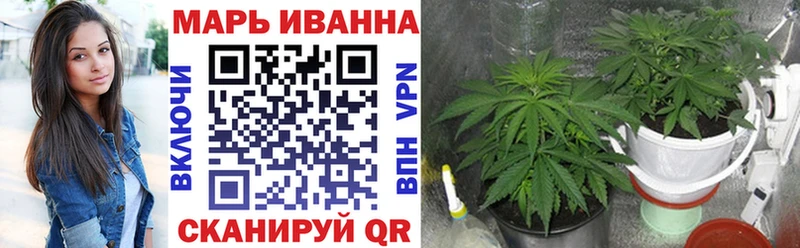 Конопля Amnesia  Купить  Куса 